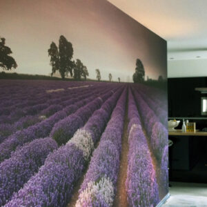 Foto op zelfklevend canvas 120x300 cm