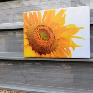 Tuinposter 4cm frame 200x270 cm
