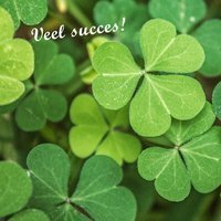 Succes kaart met klavertjes