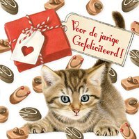 Verjaardagskaart vrouw met kitten