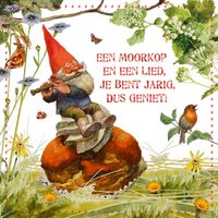 David de Kabouter speelt een verjaardagslied