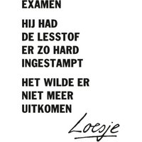 Loesje | Examen