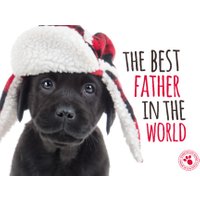 Studio Pets | Vaderdag Hondje