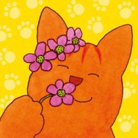 Dikkie Dik | Bloemetjes