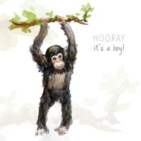 Michelle Dujardin | Geboorte jongen Aapje