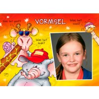 Coole giraffe, olifant en struisvogel