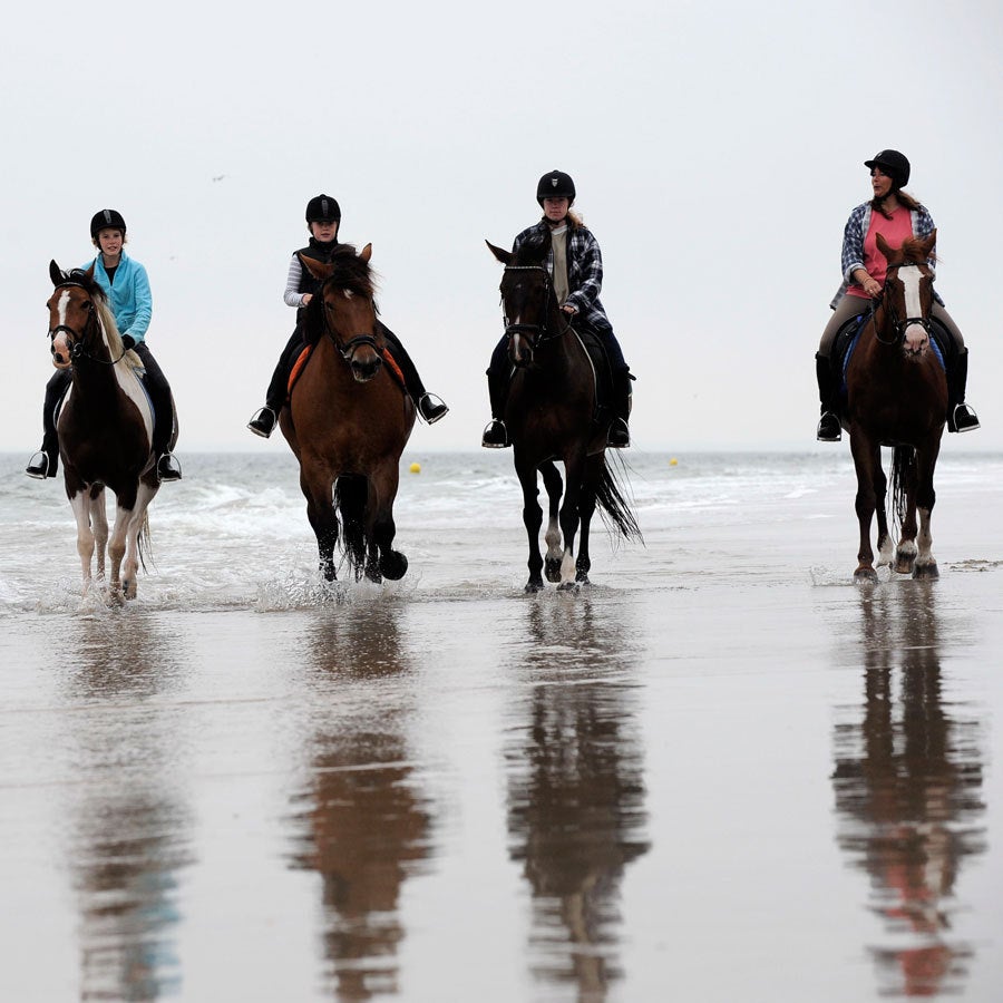 3-uursrit te paard (gevorderd)