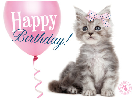 Schattig katje met roze ballon