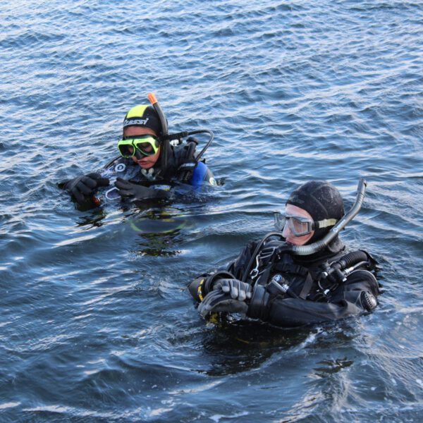 PADI Open Water cursus