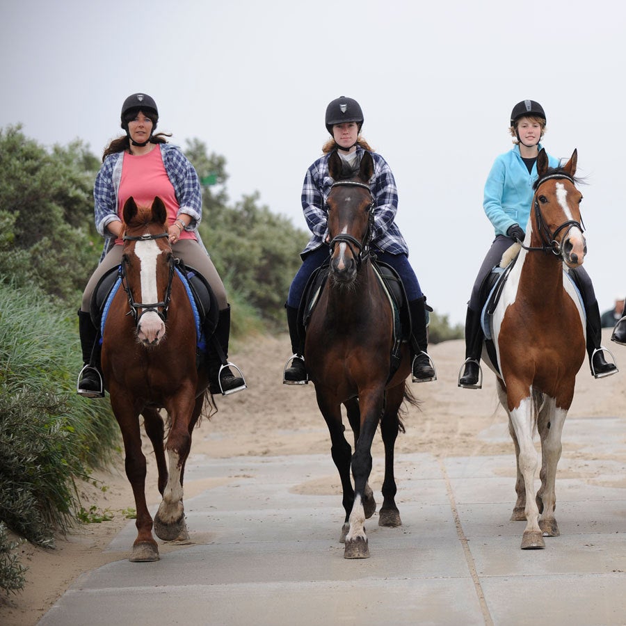 Paardrijden op het strand (gevorderd)