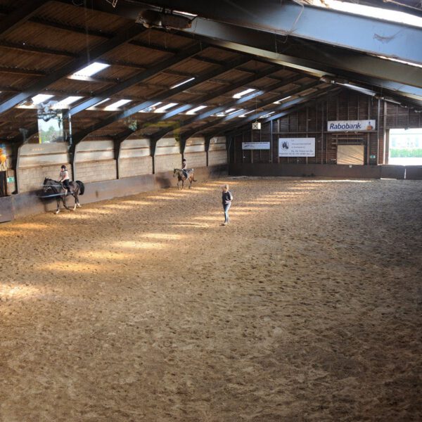 Paardrijles