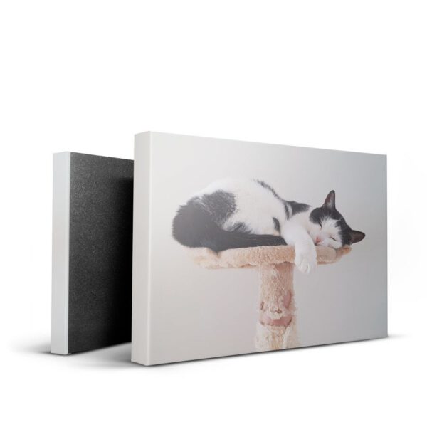 Foto op canvas - 45x30 cm